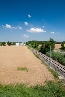 Linea FER a Castenaso, tra strada e campo di grano (R. Vlahov, giugno 2011)