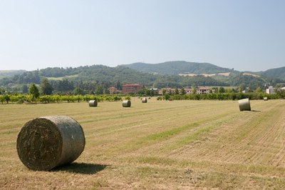 Paesaggio agrario e colline tra Zola Predosa e Gesso (R. Vlahov, luglio 2011)
