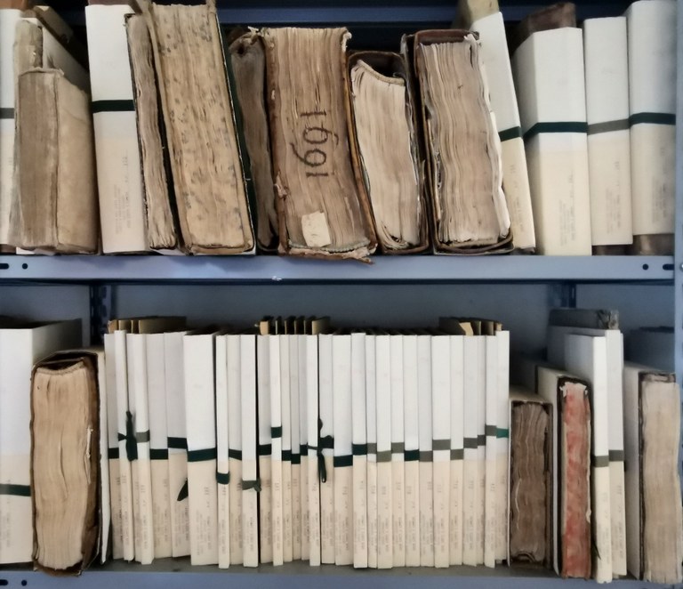 Archivio storico comunale di Novellara, Fondo Gonzaga