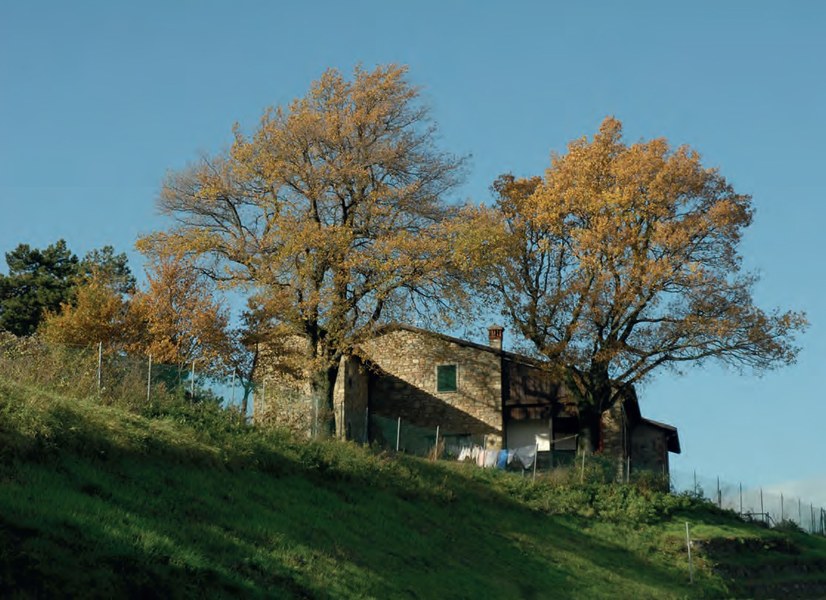 Alberi e casa, Monterenzio Bisano, foto di Vittorio degli Esposti.jpg