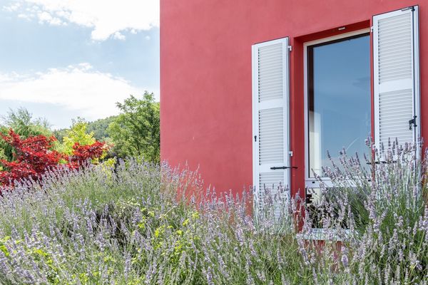 Archivio Gastone Biggi, Langhirano - foto di Luca Bacciocchi