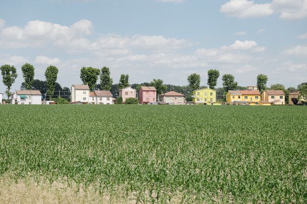 Paesaggio di pianura, Emilia-Romagna - foto di Luca Bacciocchi