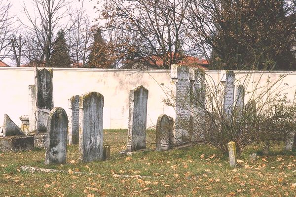 Cimitero ebraico di Scandiano (Reggio Emilia) - foto “PatER - Catalogo del Patrimonio culturale dell’Emilia-Romagna” (Regione Emilia-Romagna, Settore Patrimonio culturale)