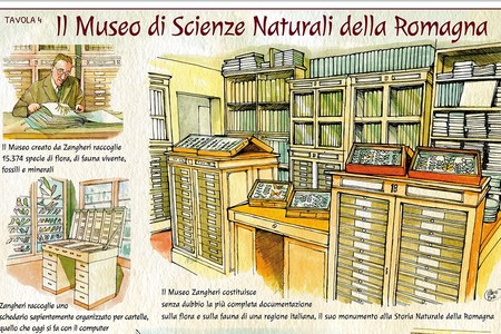 Archivio di Stato di Forlì-Cesena - Sezione di Cesena