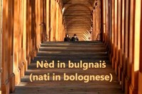 Nèd in bulgnais