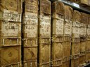 Sistema informativo partecipato degli archivi storici in Emilia-Romagna - Archivi ER