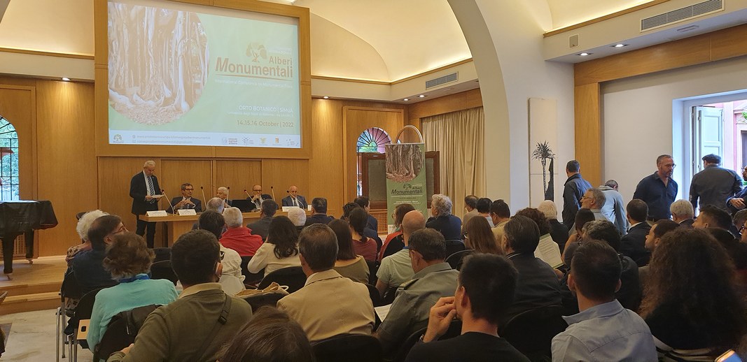 International Conference on Monumental Trees