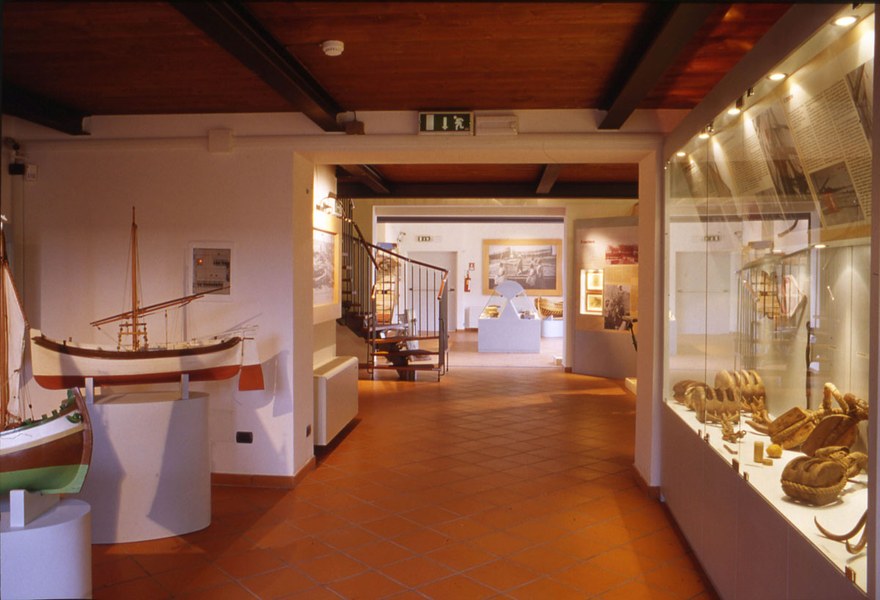 Museo della Regina, Cattolica (RN), allestimento