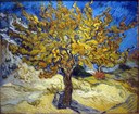 Vincent Van Gogh, Albero di gelso, 1889, California, The Norton Simon Museum of Art (foto Wiki Commons)