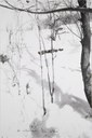 Giuseppe Penone, Alpi Marittime. Ho intrecciato tre alberi 1968 Bologna, MAMbo, foto Regione Emilia-Romagna
