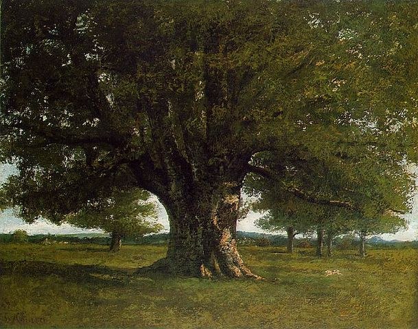 Gustav Courbet La quercia di Flagey del 1863, Ornans, Museo Courbet
