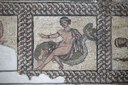 Classis Ravenna Museo della Città e del Territorio, Abitare a Ravenna / Pregare a Ravenna Nereide su Delfino, IV-V secolo d.C., particolare del mosaico di via Dogana 1, Faenza (RA