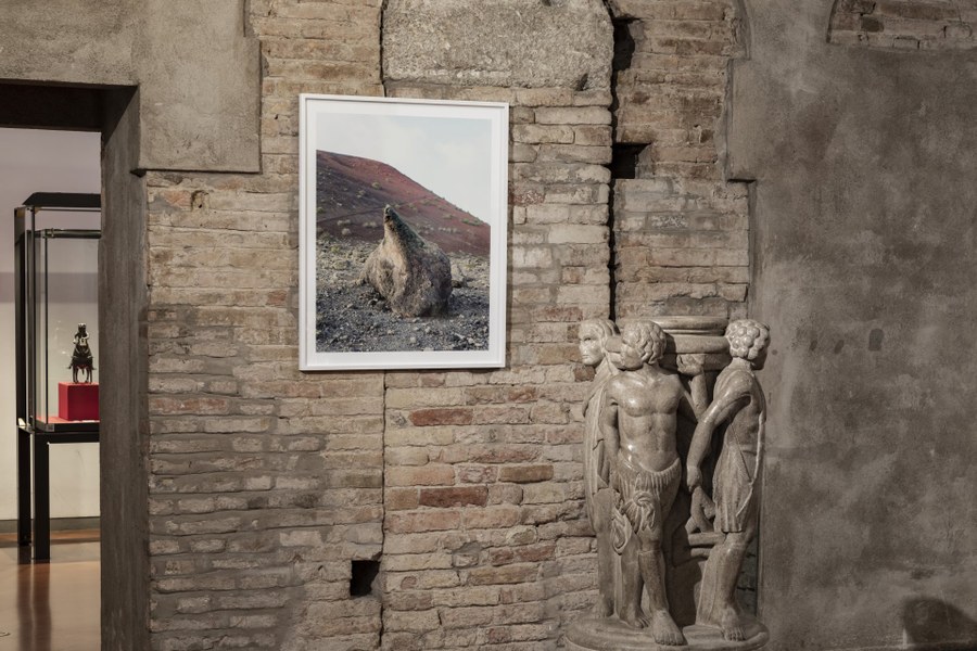 Vedute di allestimento presso Museo Civico Medievale, Bologna (2022) Foto Federico Landi