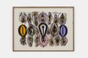 Vulv'are, 2016, tecnica mista e collage su carta, 56x76 cm Courtesy Archivio Concetto Pozzati