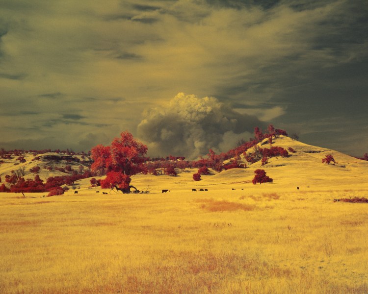 Maxime Riché, from « Paradise ». The smoke column of the Dixie Fire rises over Paradise, California in July 2021