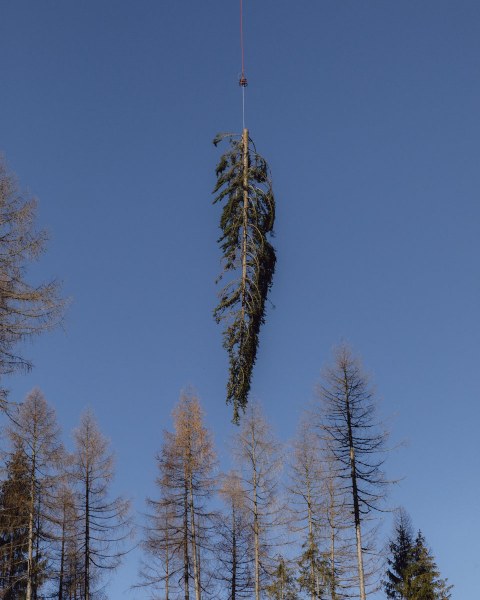 Matteo de Mayda, Un elicottero rimuove un albero caduto da un sentiero vicino a Digonera / A helicopter removes a fallen tree from a path near Digonera. Digonera (Belluno), 2020 ©Matteo de Mayda - There’s no calm after the storm (2019-2023)