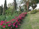 Appuntamento in giardino 2024: alle Mura il Giardino del Borgo, Ozzano dell’Emilia (BO)