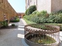 Appuntamento in giardino 2024: al Giardino pensile di Flora della Rocca San Vitale, Fontanellato (PR)