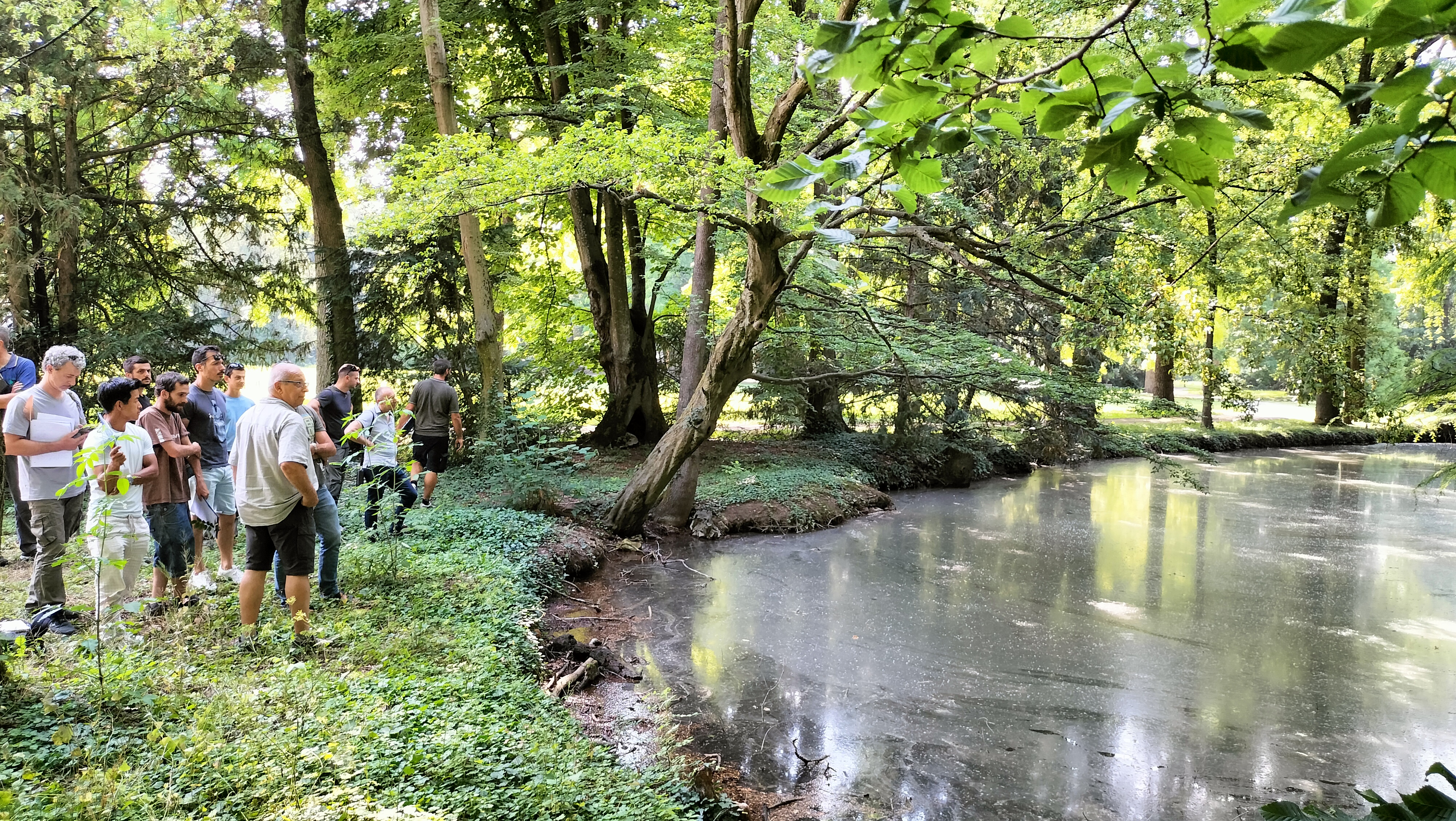 Dinamica, Parco Villa Spalletti RE