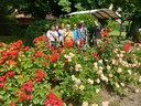 Fondazione Valmarecchia, Attività laboratoriale in Giardino San Leo