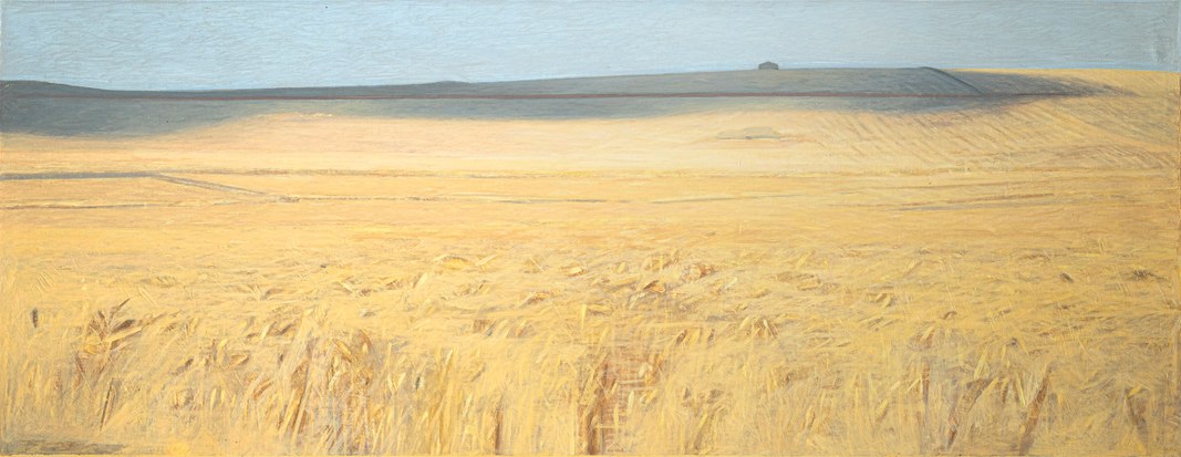 Ombra sul campo di grano n. 2, 1974-75 Olio su tela, cm 68 x 171 Collezione privata