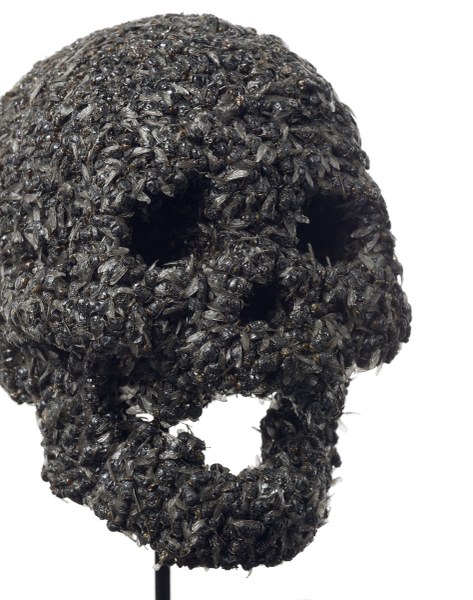 Damien Hirst Fear of Death (Full Skull) (detail), 2007 Mosche, resina, alluminio e vetro 16.3 x 12 x 12 in (415 x 305 x 305 mm)