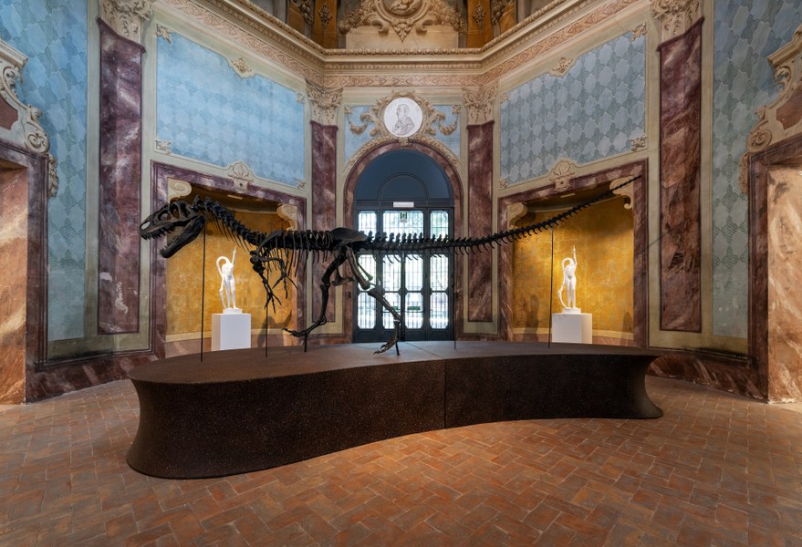 Naturale Innaturale, scheletro di Allosaurus fragilis. Fondazione AGO, Palazzina dei Giardini, Modena, foto Paolo Guerzoni