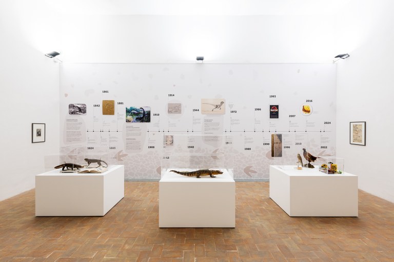 Naturale Innaturale, installation view 2024. Fondazione AGO, Palazzina dei Giardini, Modena, foto Paolo Guerzoni