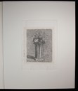02.	Vaso a strisce con fiori, 1924. Incisione ad acquaforte su zinco. L’opera era appesa nello studio di Morandi