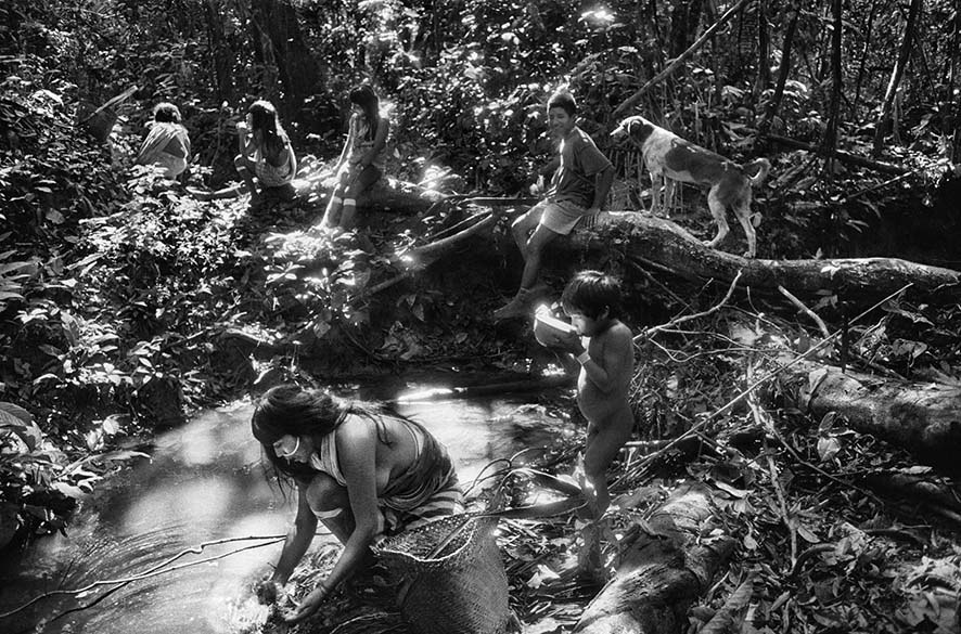 Presso il villaggio marubo di Maronal. Stato di Amazonas, Brasile, 1998,  © Sebastião Salgado / Contrasto  