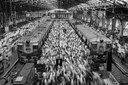 La Churchgate railway station, Bombay, India, 1995 © Sebastião Salgado / Contrasto