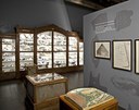 Museo Scarabelli di Imola (foto Mario Guglielmo)  (immagine con plastico in primo piano)