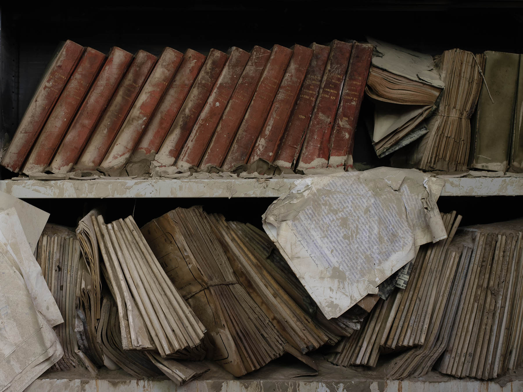 Biblioteca allagata del Seminario Vescovile, Forlì, 2023 - fotografia di Silvia Camporesi