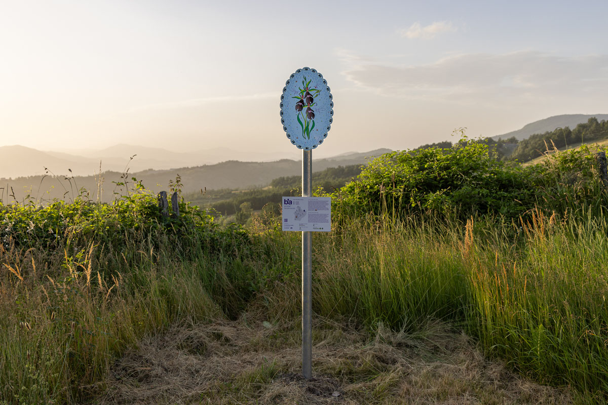 Sign of Care, Sóley Ragnarsdóttir, Una Boccata d’Arte 2024 - Regione Emilia-Romagna, Photo by Daniele Signaroldi