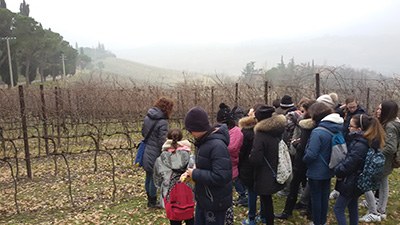 Viti-cultura: le vie dell’uva a Valsamoggia tra arte, storia ed economia 4/5