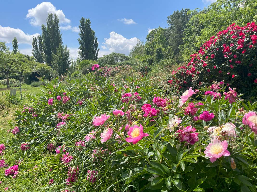 Giardino Botanico La Pica