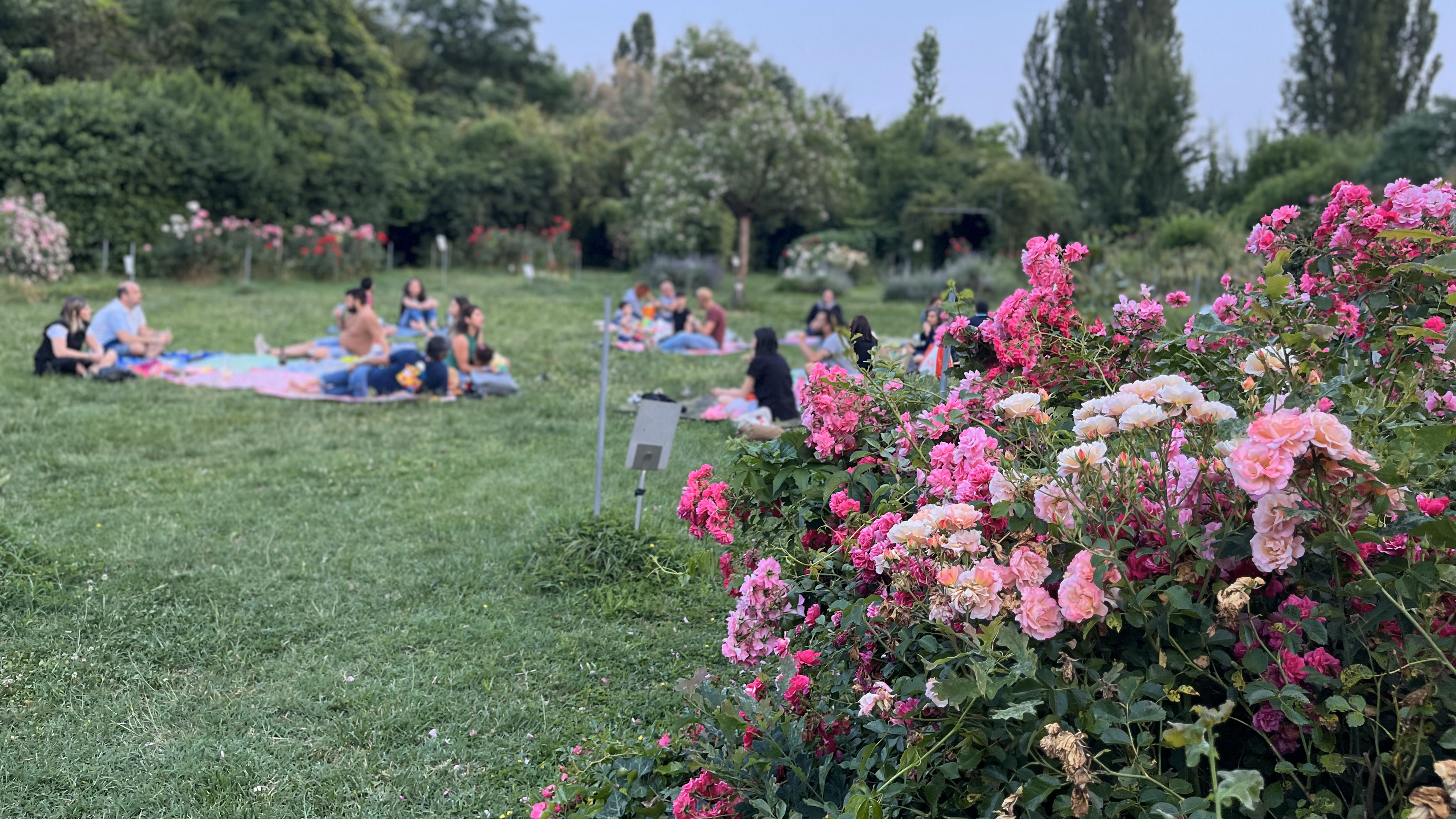 Giardino Botanico La Pica