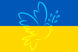 Avviso per progetti speciali di accoglienza rivolti alla popolazione ucraina sul territorio emiliano-romagnolo