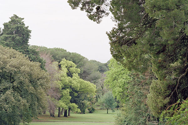 Musei Civici Reggio Emilia » Un piede nell'Eden. Luigi Ghirri e