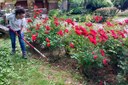 In Emilia-Romagna qualificati 130 giardinieri d’arte per parchi e giardini storici