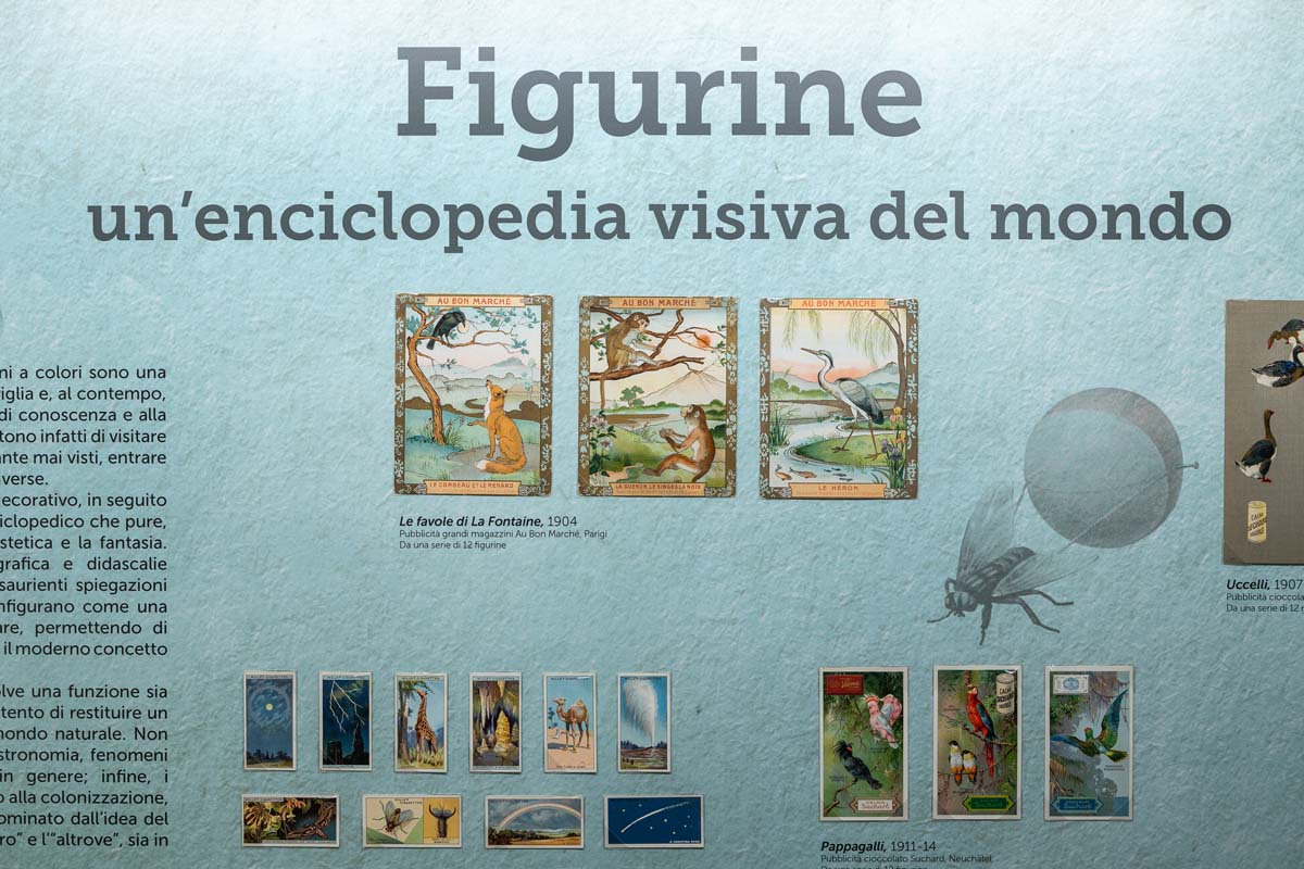(Museo della Figurina di Modena, allestimento)