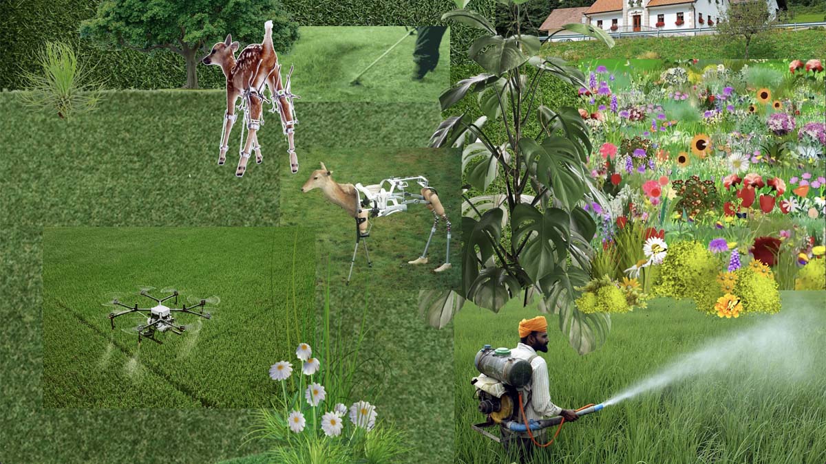 Sara Bezovšek, www.s-n-d.si, Slovenia, 2021, film still, courtesy of the artist