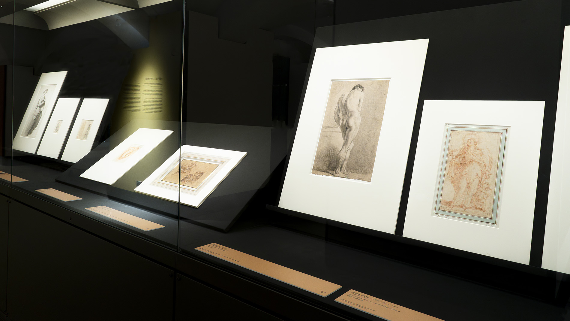 Allestimento della mostra