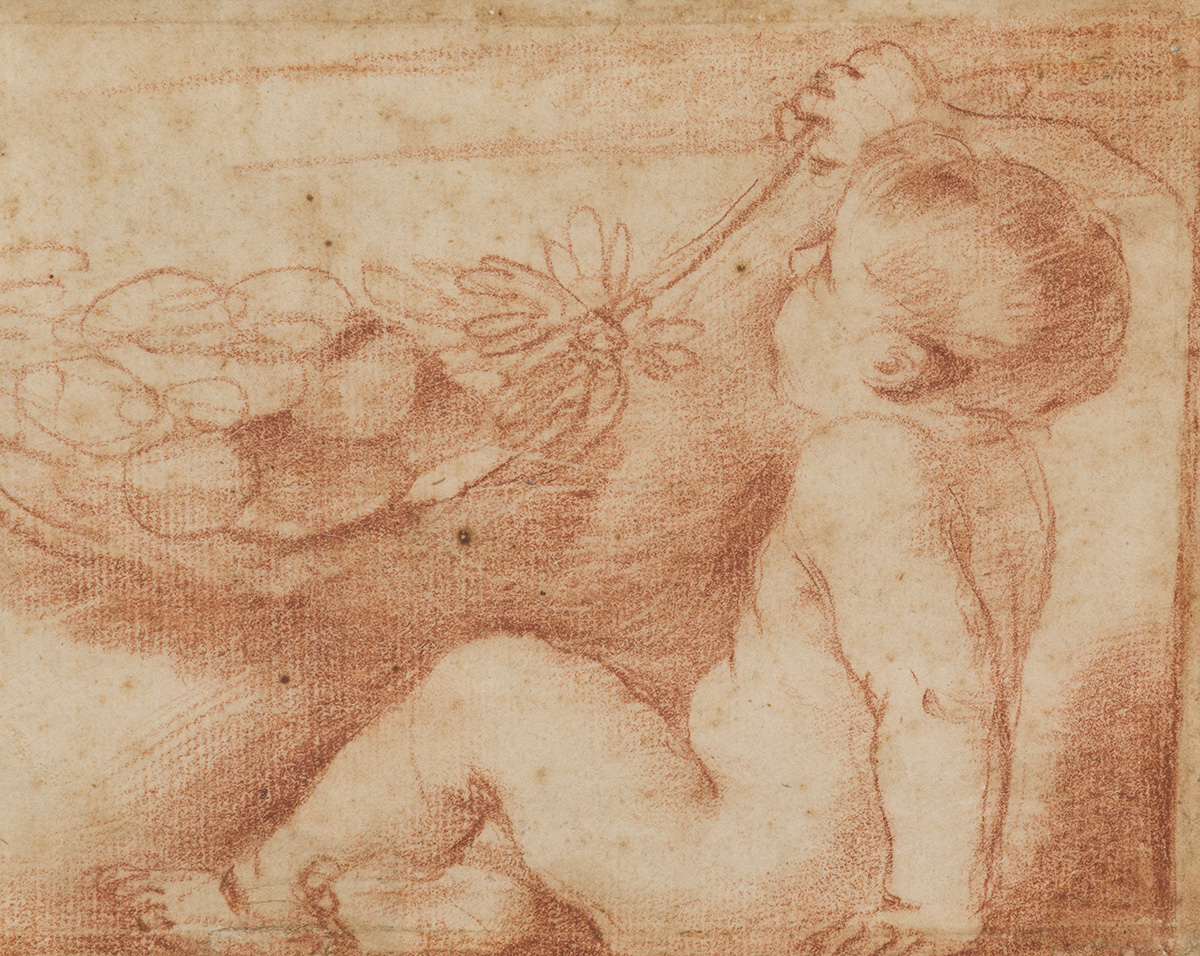 Guercino, Putto seduto volto a sinistra con ghirlanda di fiori, 1627