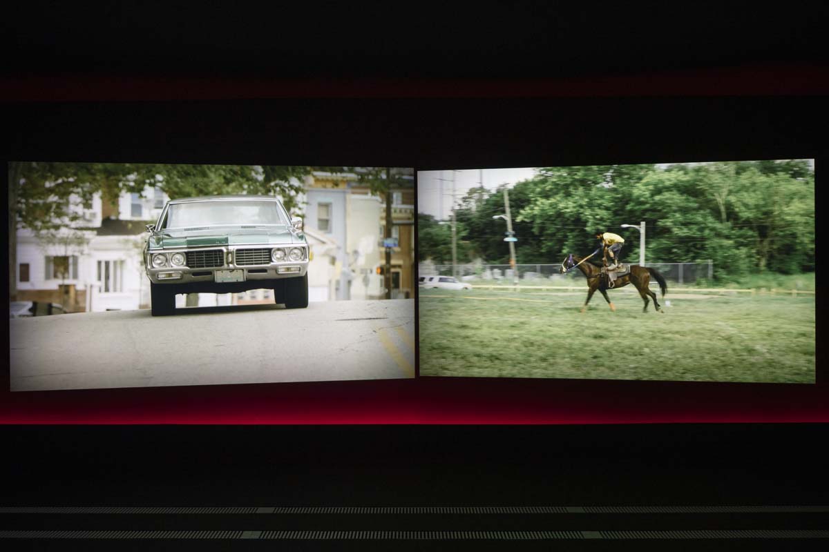 Horse Day, video frame