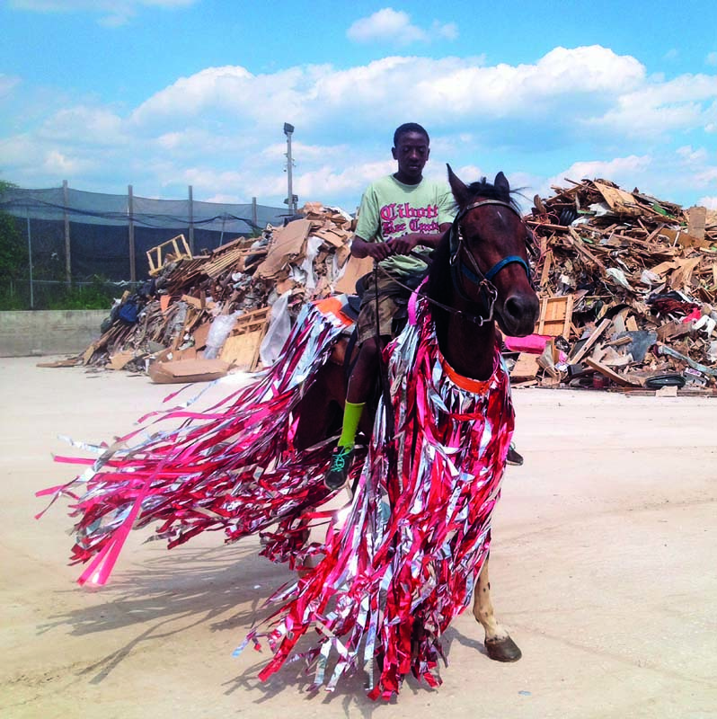 Horse Day, 2014, Color photograph.