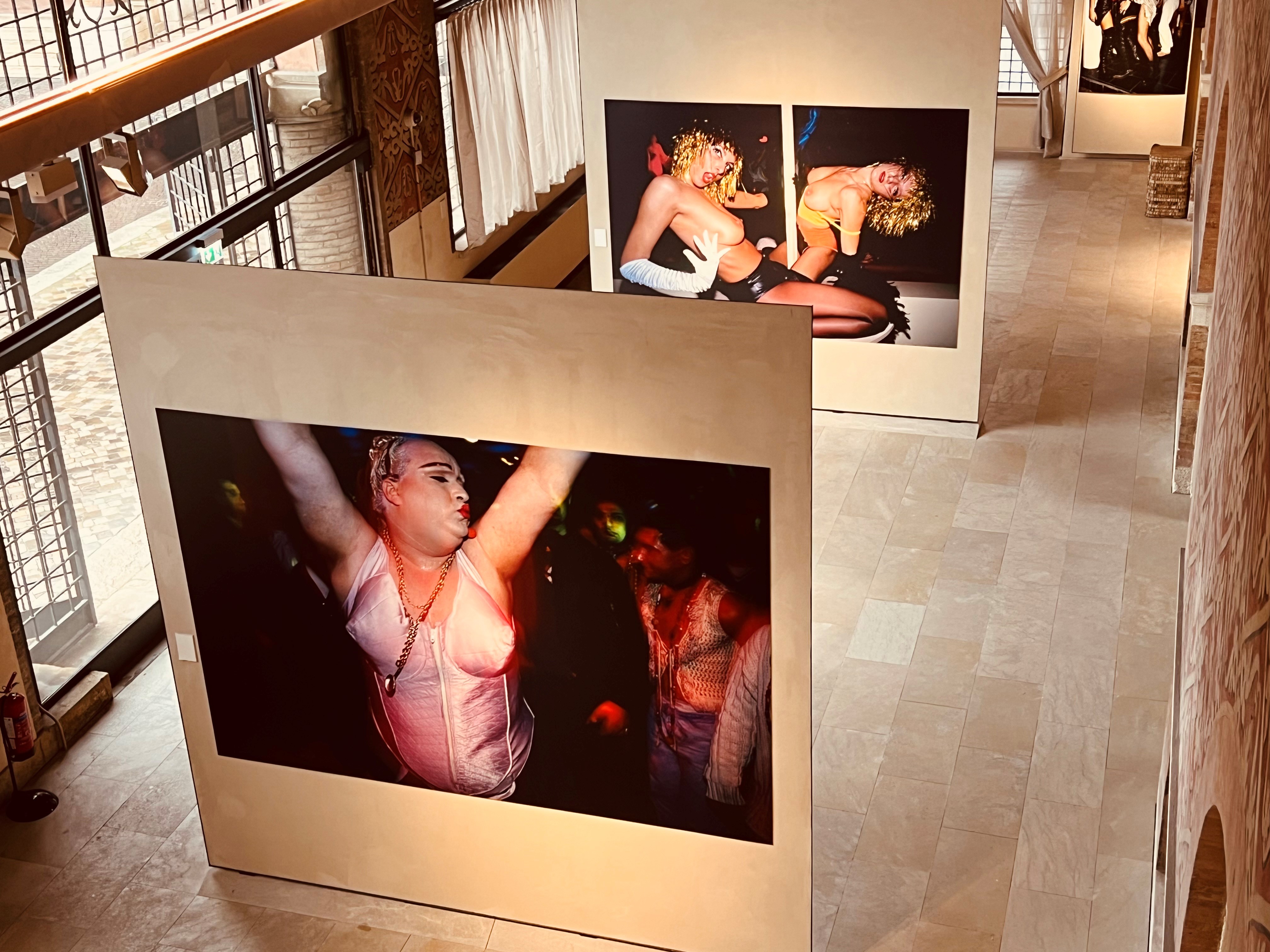 allestimento della mostra