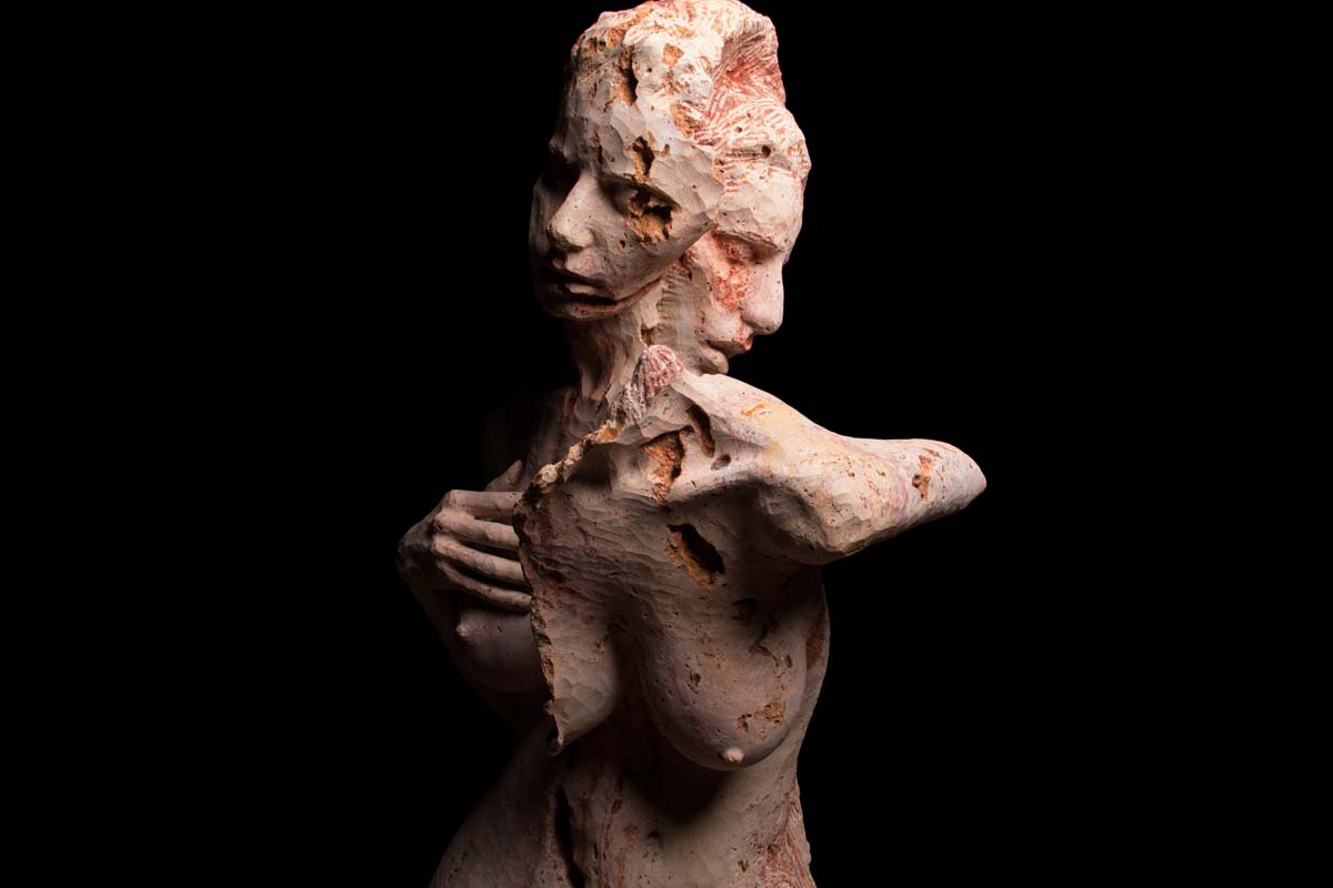 Chiristian Zucconi, Madonna della febbre, particolare