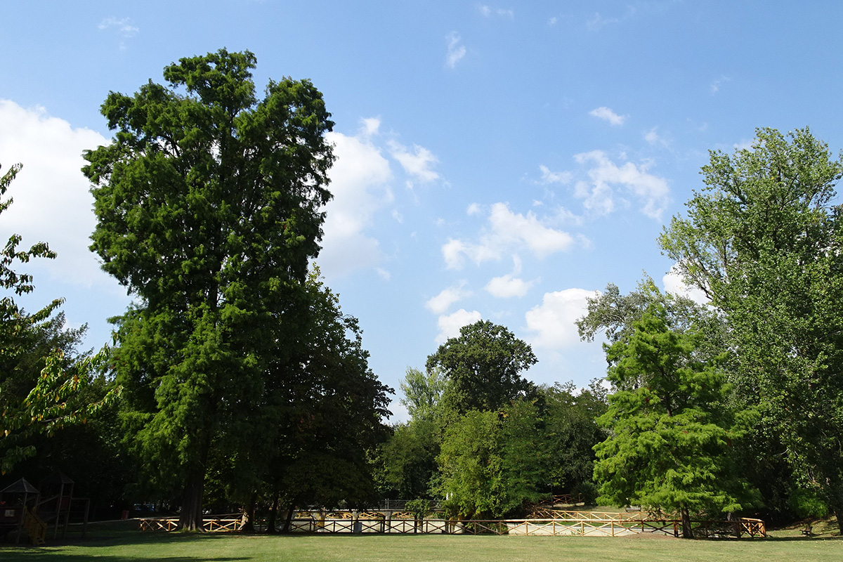 Parco di Villa Smeraldi, foto di Rosella Ghedini