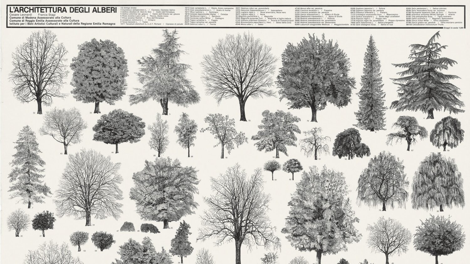 L'architettura degli alberi